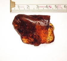 Herrlicher, baltischer