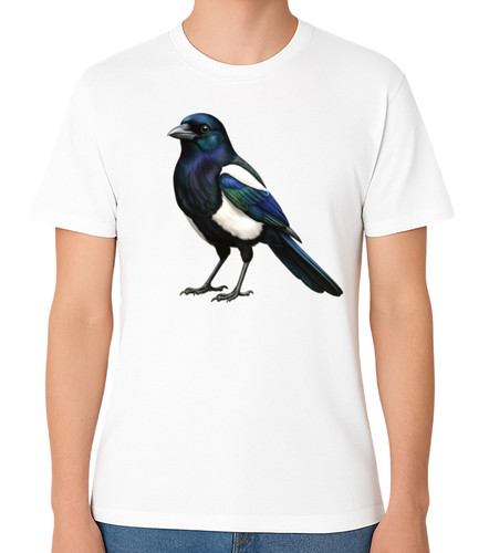 Elster vogel illustration - vogel,