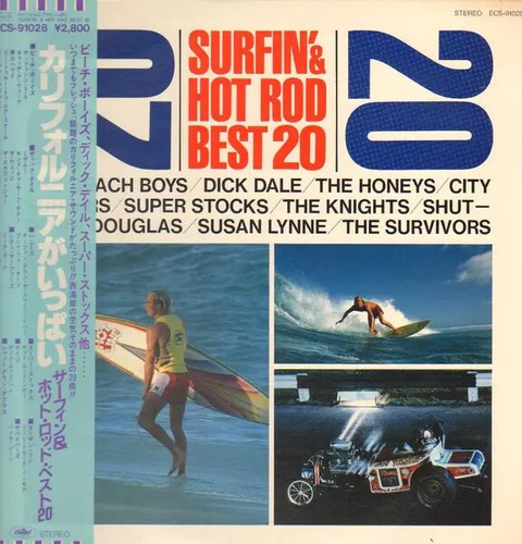 The beach boys dick - lp, boys,