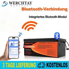 12V 200AH Bluetooth LiFePO4 Akku BMS Lithium Batterie Solarbatterie Solaranlage