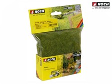 NOCH 07100 Wildgras "Wiese"