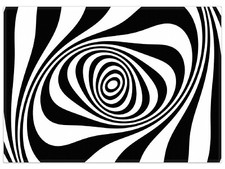 Wallario Teppich Fußmatte ab 50x70cm -Motiv Optische Täuschung - Zebra Muster