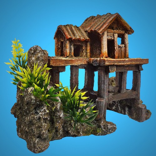 Aquarium deko kleines - aquarium, 🐠