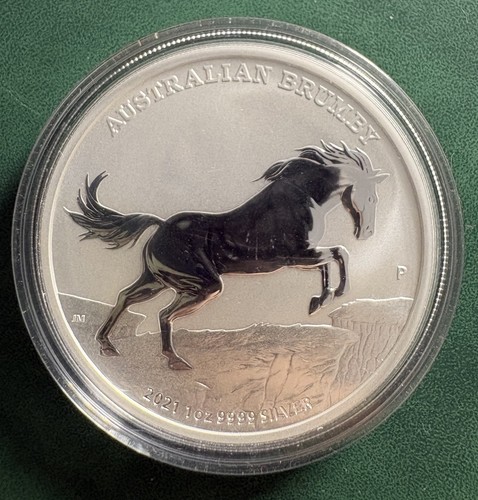 Silber australien brumby - 1,