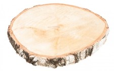 NaDeco Birkenscheibe Ø20-30cm x 4cm | Holzscheibe | große Baumscheiben | Birke