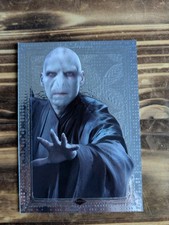 Panini harry potter - panini,