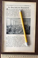 Flugzeug Fabrik 1919 Fotos Propeller Tischler Bespannung Tragfläche Flügel  8