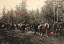 Finnische Soldaten auf Vormarsch bei Salla Lappland Finnland