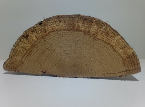 Baumscheibe holzscheibe - baumscheibe,,