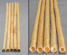 Bambusstange "Moso" gebleicht 200cm, Durch. 6- 7cm von bambussi