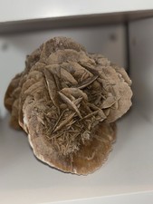 Originale Wüstenrose (Sandrose) ein beeindruckendes Exemplar aus der Wüste