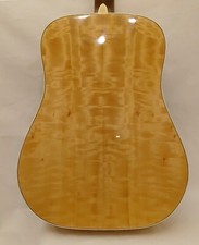 Westerngitarre - einzigartig