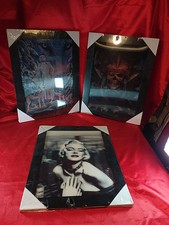 3 x 3D Bild im Rahmen Marilyn Monroe Totenkopf Wolf Pirat (4383)