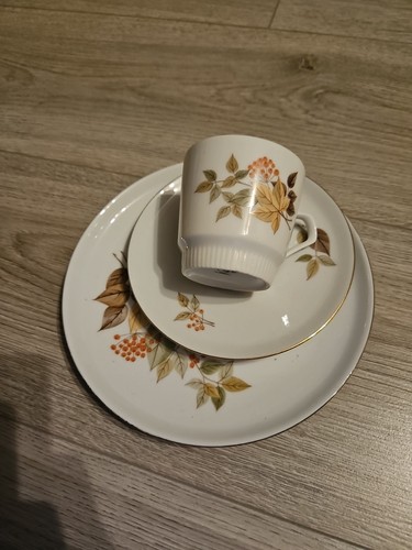 Sammeltassen set colditz - sammeltassen,