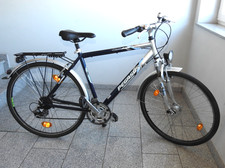 "PEGASUS" Avand Damen Herren