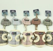 Geschirr Halsband  Leine