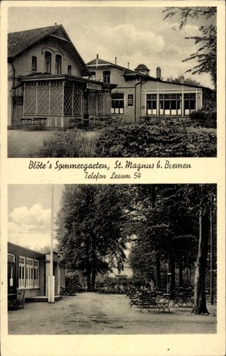 Magnus burglesum - ak,