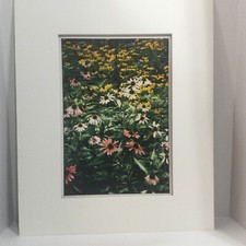 Original William Eickhorst