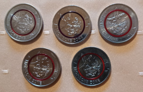 5x5 euro tropische zone 2017 - 5x5,