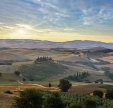 Wandbild: Wunderschöne