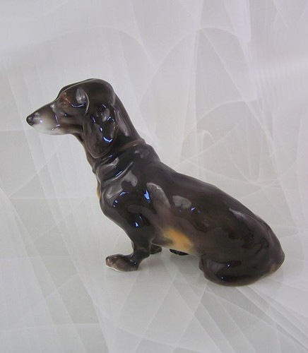 Nymphenburg dackel hund dog - nymphenburg,