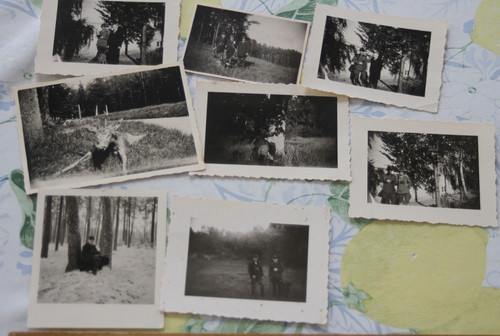 Foto jäger jagd 1937 - jäger,