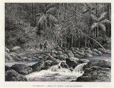 Australien. Dairymple-creck. Original-Holzstich von 1889