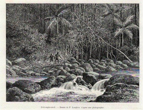 Australien dairymple creck - australien., dairymple-creck