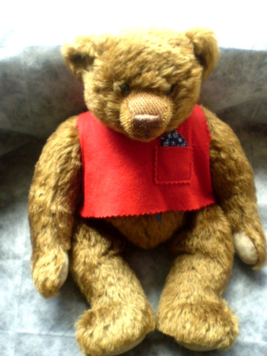 Ashton drake galleries teddy - ashton,