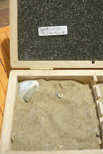 Sandsammlung-Auflösung~Strand