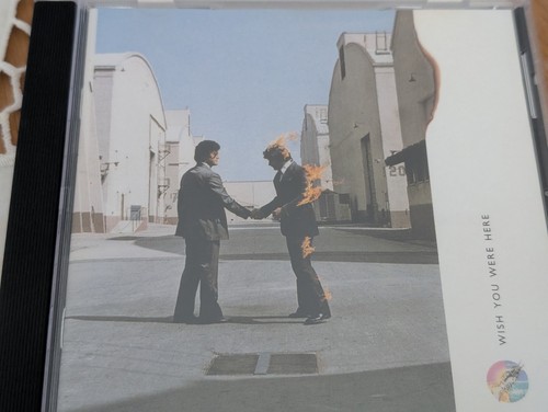 Pink floyd wish you - pink,