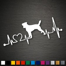 14198 Jack Russel Terrier