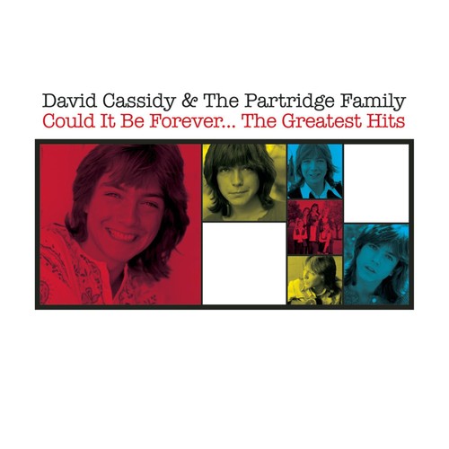 David cassidy and - david,