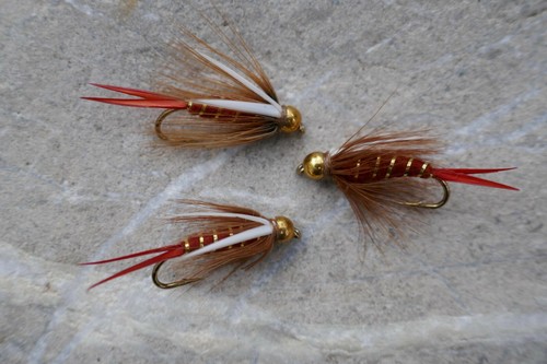 Goldkopf brown prince - 4, st.