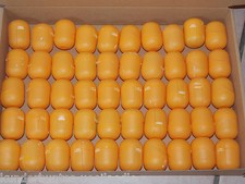 Leere kapseln in - leere,