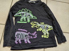 Cooler Dino Pulli