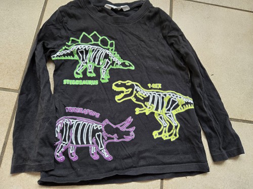 Cooler dino pulli - dino,