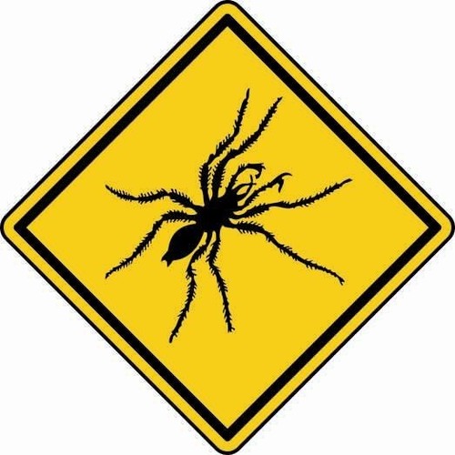 Aufkleber achtung spinne 8 - aufkleber,