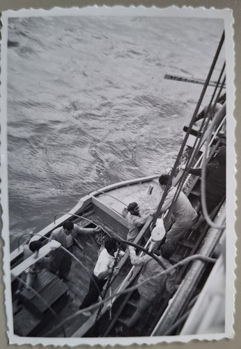 Altes foto vintage - altes,