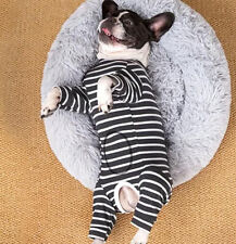 Hundebody OP-Body Allergiebody