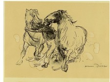 Dill otto offset - ,