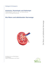 Skript Heilpraktiker Ausbildung - die Niere und ableitende Harnwege