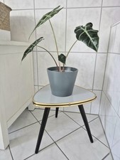 Blumenhocker 60er Jahre grau