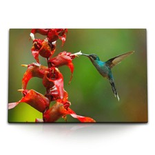 120x80cm Wandbild auf Leinwand