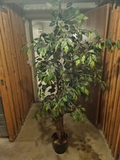 Künstlicher Ficus im Topf - täuschend echt