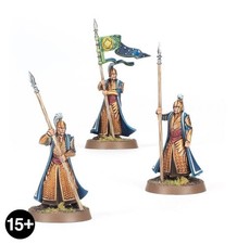 LotR Warhammer Guards of the Galadhrim Court Pro Painted Commission