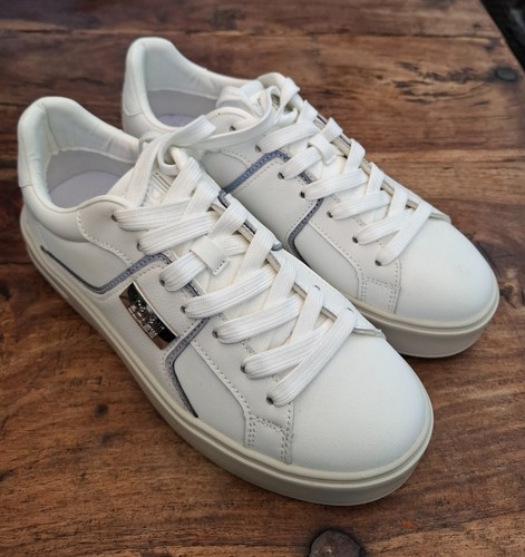 Cavalli class sneaker - cavalli,