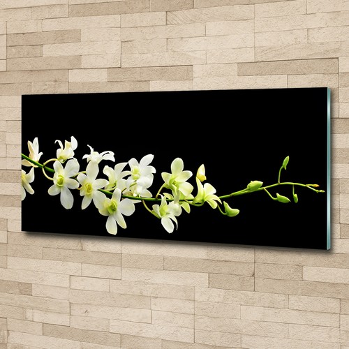 Glas bild wandbilder druck auf - glas-bild,