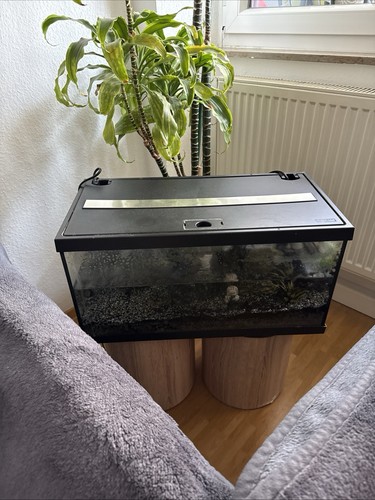 Verkaufe anfänger aquarium - anfänger,,