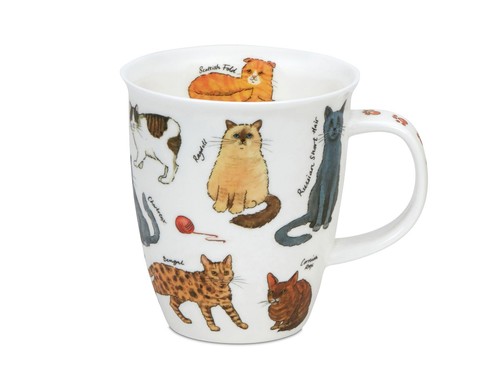 Dunoon bone china - dunoon,